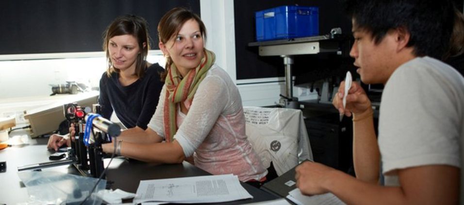 Zwei Studierende an einem Versuchsaufbau in einem de OBV-Labore