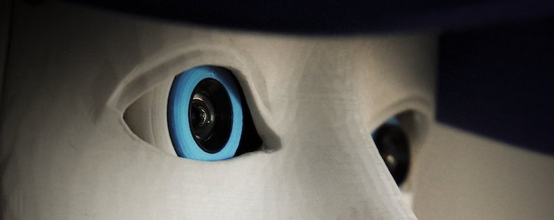 Detailaufnahme der Kamera-Augen des InMoov, eines Roboters mit menschlichen Zügen.